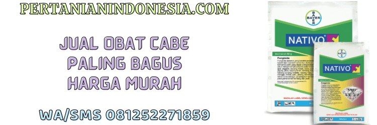 jual,murah,terjangkau,toko pertanian terdekat,pertanian indonesia